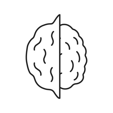 Açık ceviz doğrusal simgesi