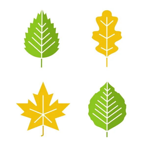 Leaves glyph color icon set — Stock Vector