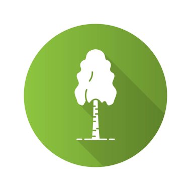 Huş ağacı düz tasarım 