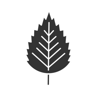 Huş ağacı yaprak glif simgesi