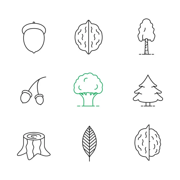 Conjunto de ícones lineares florestais —  Vetores de Stock