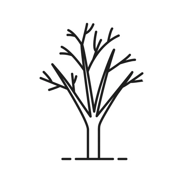 पत्तियों के बिना पेड़ रैखिक प्रतीक — स्टॉक वेक्टर