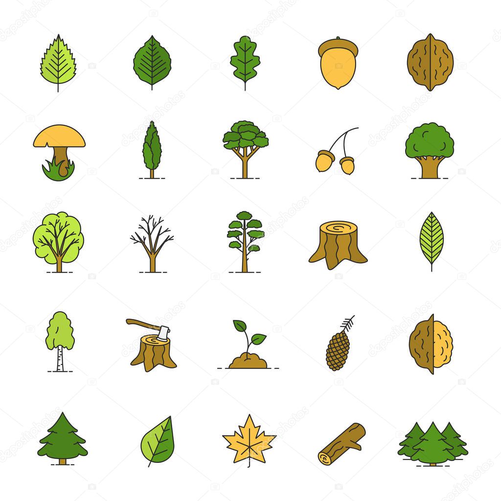 Tree types color icons set. Forest, park. Forestry. Isolated vector illustrations