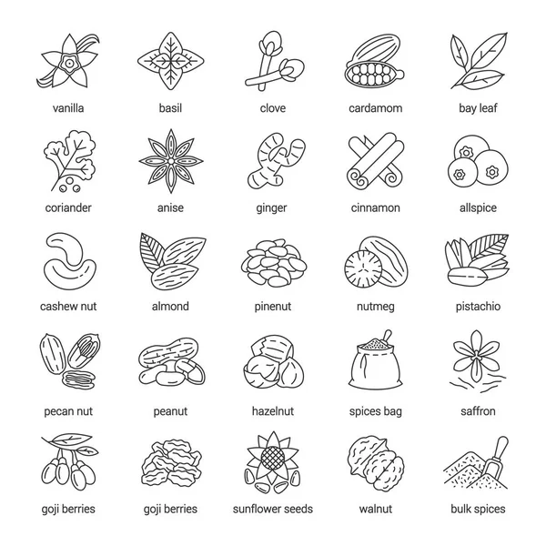 Baharat doğrusal Icons set