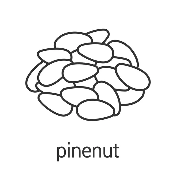 Pinenut lineaire pictogram — Stockvector