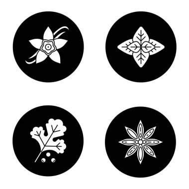 Baharat Icons set