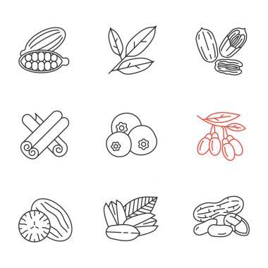 Baharat Icons set