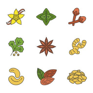 Baharat Icons set