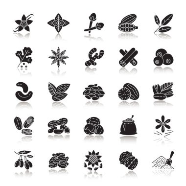 Baharat Icons set