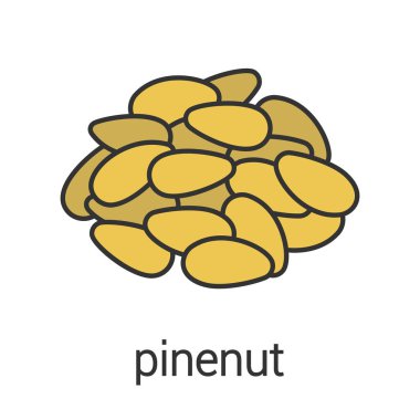 Pinenuts renk simgesi