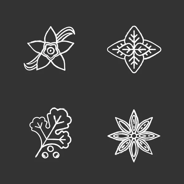 Set di icone delle spezie — Vettoriale Stock