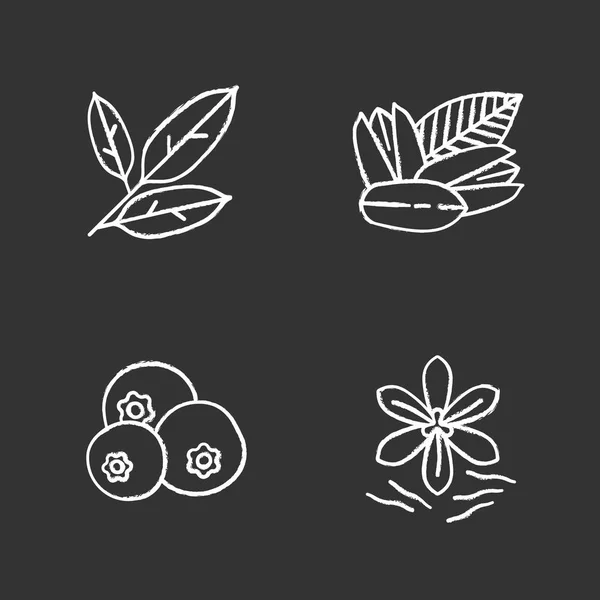 Especias tiza iconos conjunto — Vector de stock