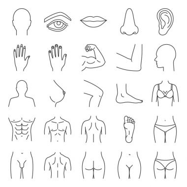 Doğrusal Icons set