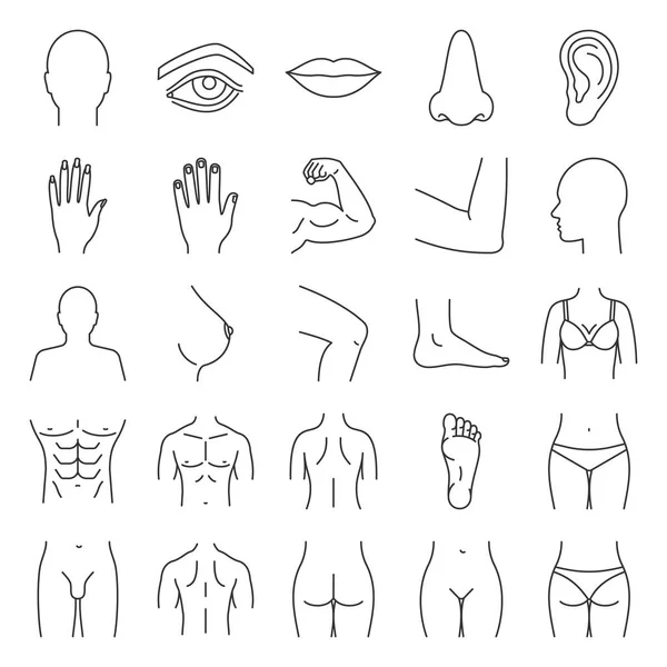 Doğrusal Icons set