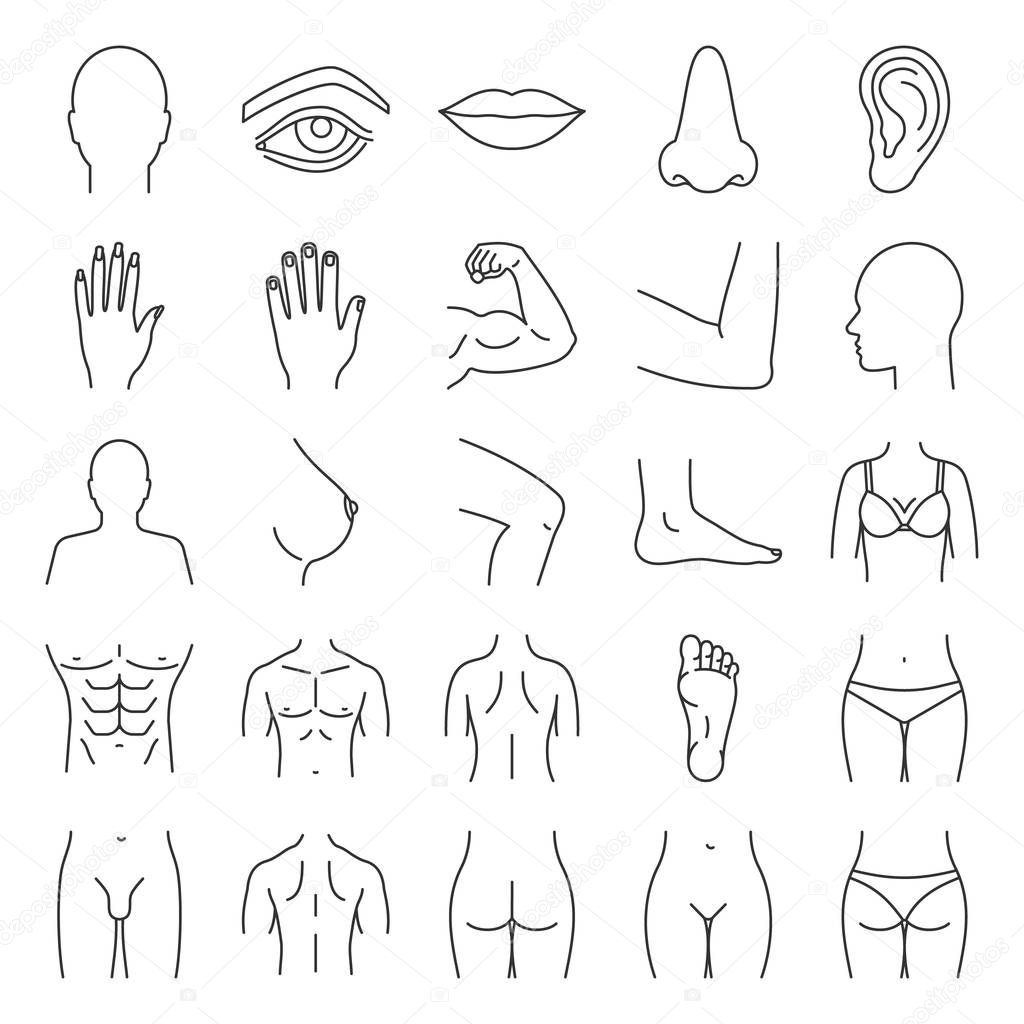 Linear icons set, vector outline illustrations