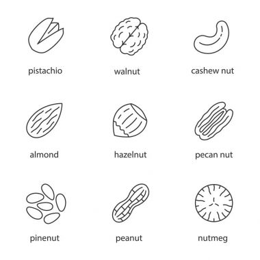 Fındık türleri glif Icons set