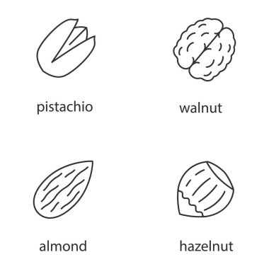 Fındık türleri glif Icons set