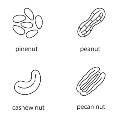 Fındık türleri glif Icons set