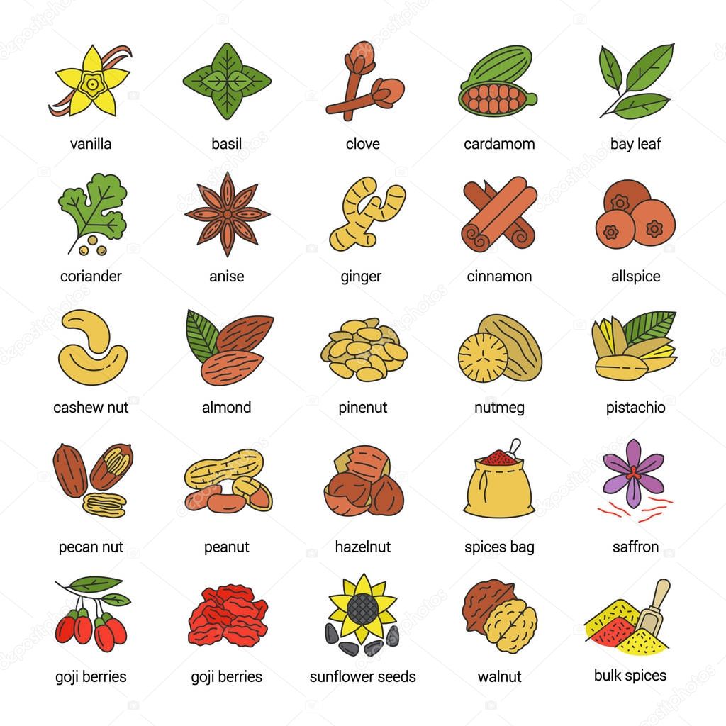 Spices glyph icon, vector illustration