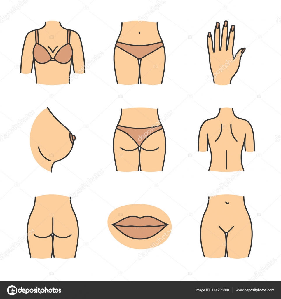 Female Body Parts Icons Set Vector Image By C Bsd Vector Stock 174235808