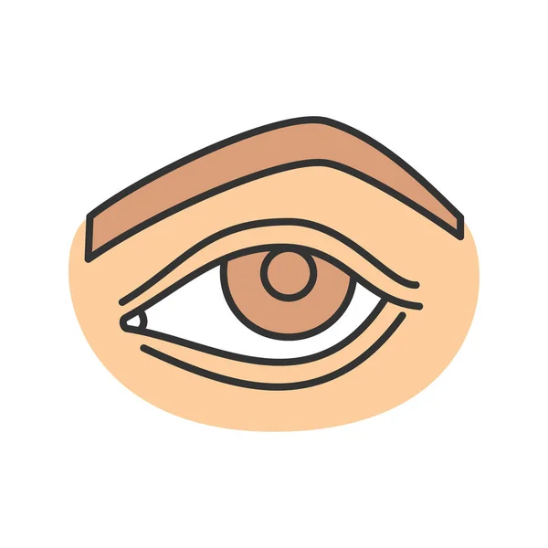 Kvinnans ögonikonen — Stock vektor