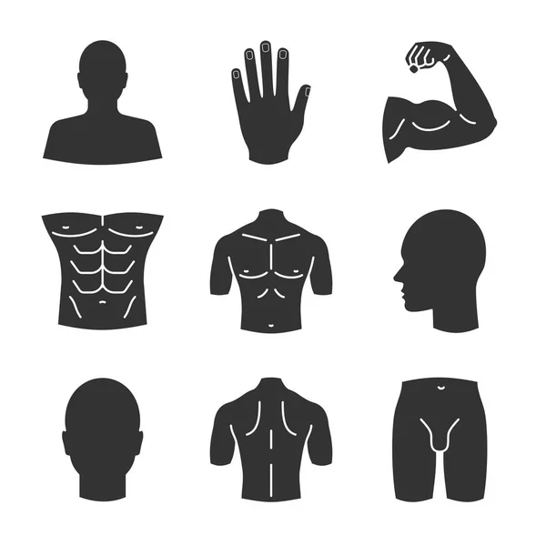 Male body parts icons set — Stock Vector