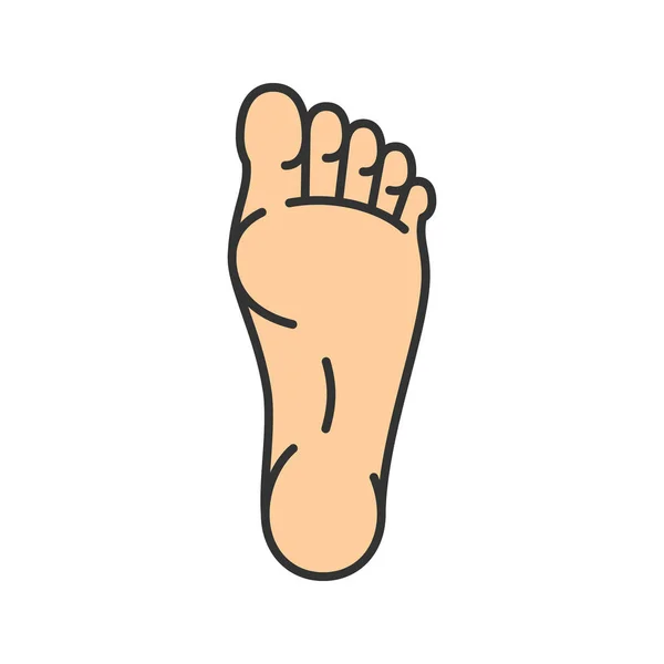 Foot color icon — Stock Vector