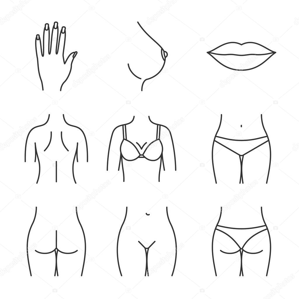 Female body parts linear icons set. Woman's hand, breast, lips, back, buttocks, bikini zone. Thin line contour symbols. Isolated vector outline illustrations