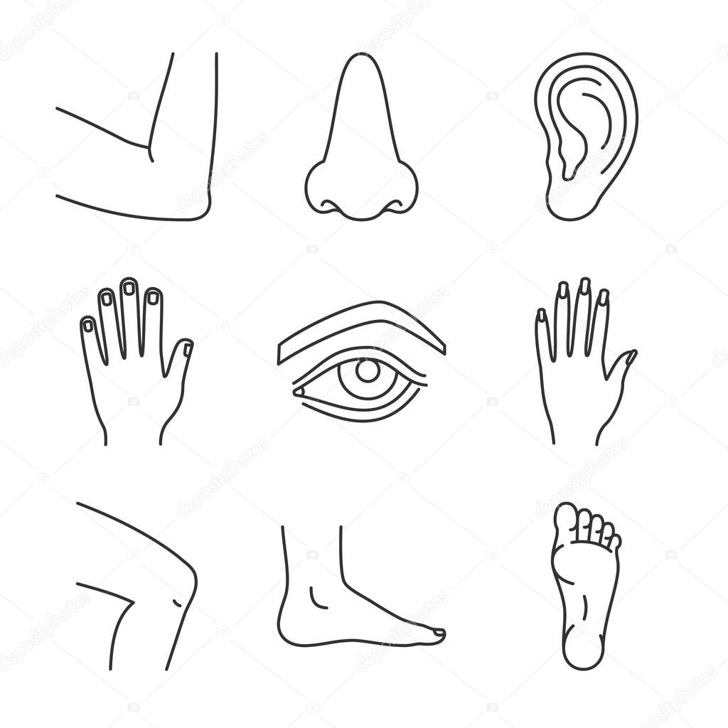 Download Human body parts icons set — Stock Vector © bsd #174239352
