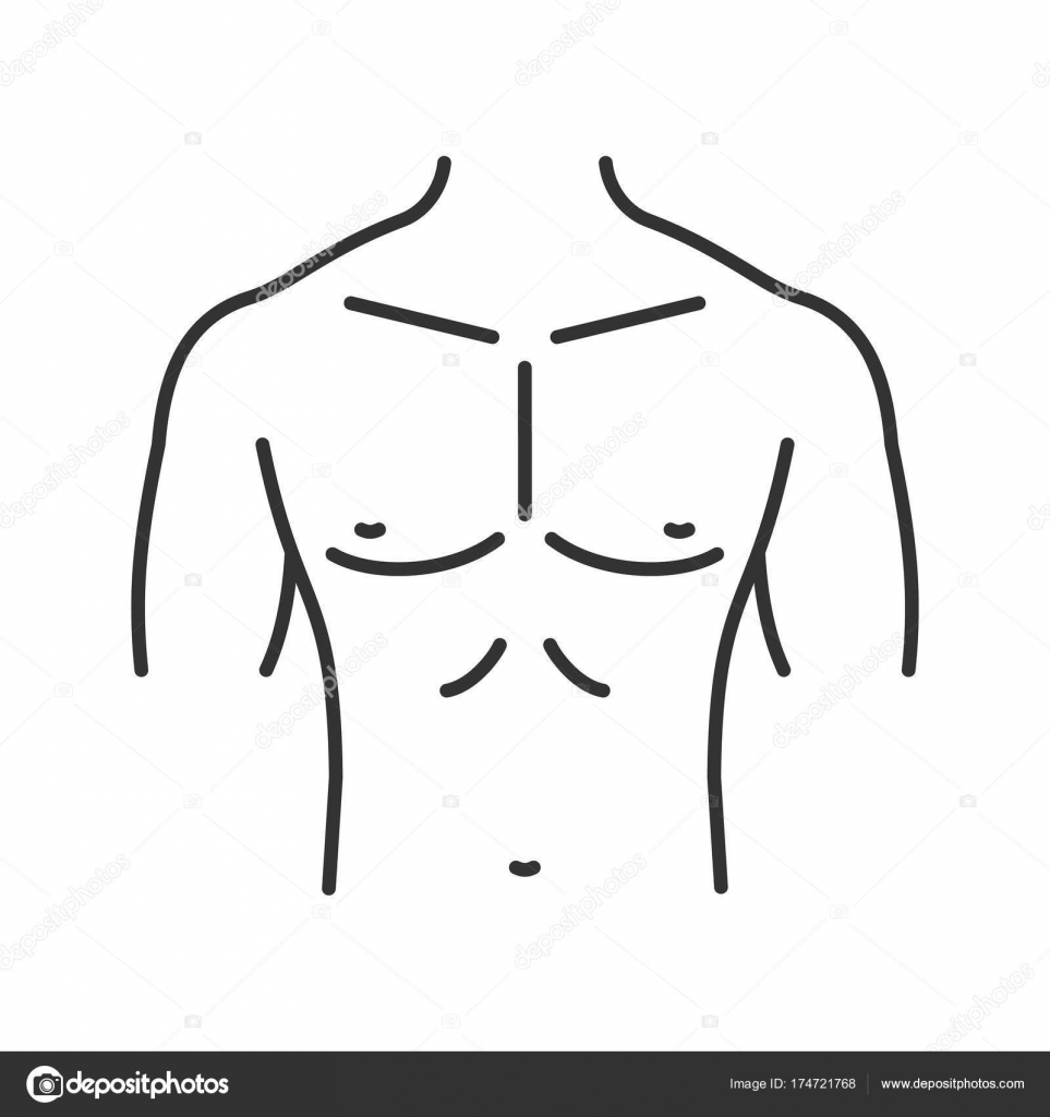 Featured image of post Male Chest Drawing How to draw the male chest