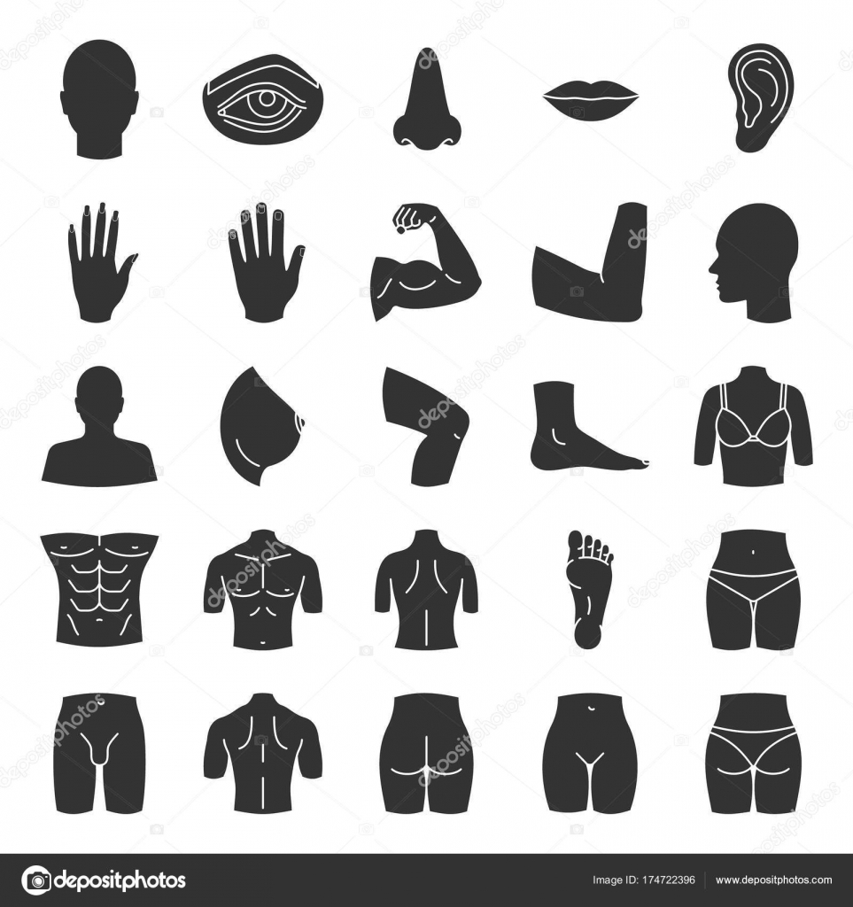 Human Body Parts Icons Set Stock Vector Image By ©bsd 174722396
