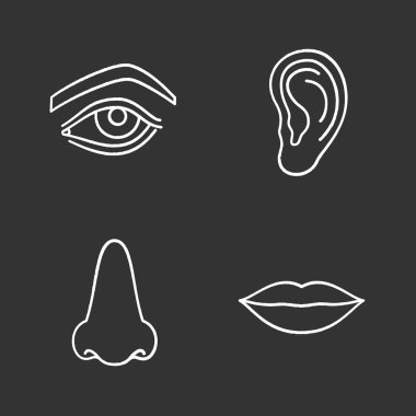 Yüz vücut parçaları Icons set