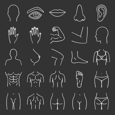 İnsan vücudu parçaları Icons set