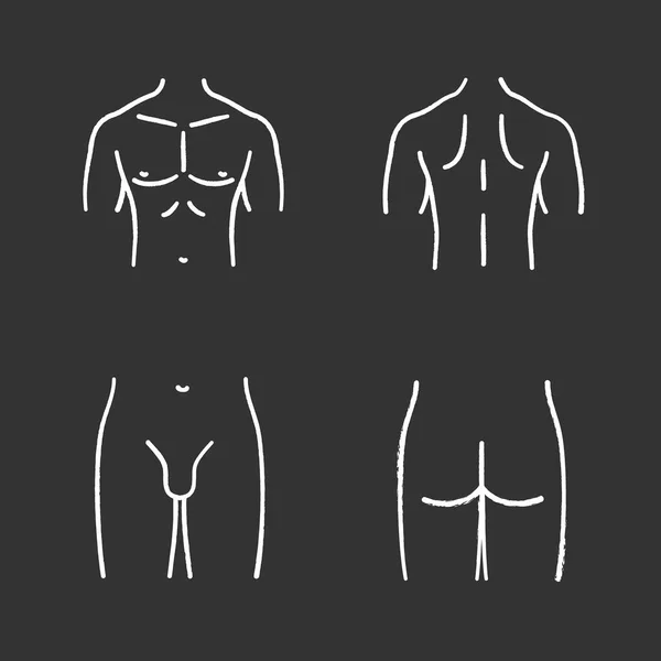 Conjunto de iconos de partes del cuerpo masculino — Vector de stock