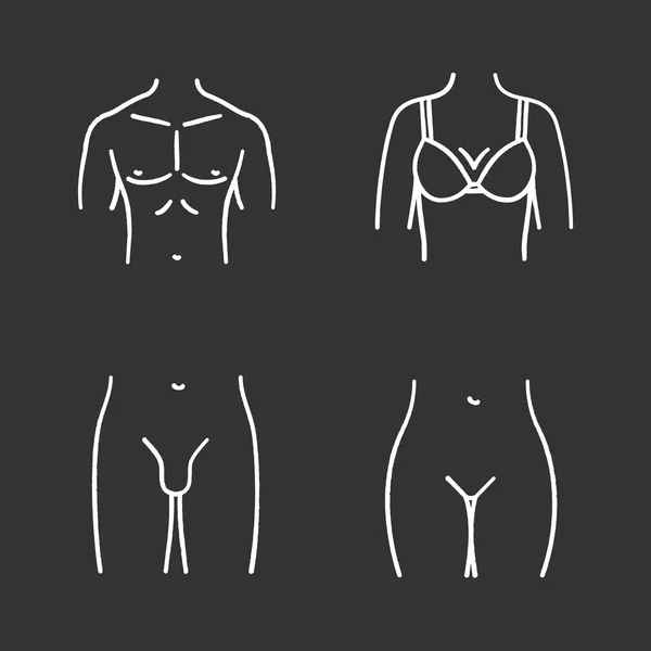 Parties du corps humain icônes ensemble — Image vectorielle