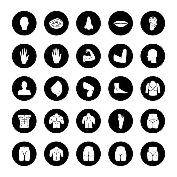Menselijk lichaam delen icons set — Stockvector