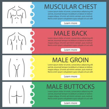 Erkek vücut parçaları afiş şablonlar kümesi web. Kas göğüs, sırt, kasık, kalça. Web sitesi renk menü öğeleri ile doğrusal kutsal kişilerin resmi. Vektör üstbilgileri kavramları tasarım