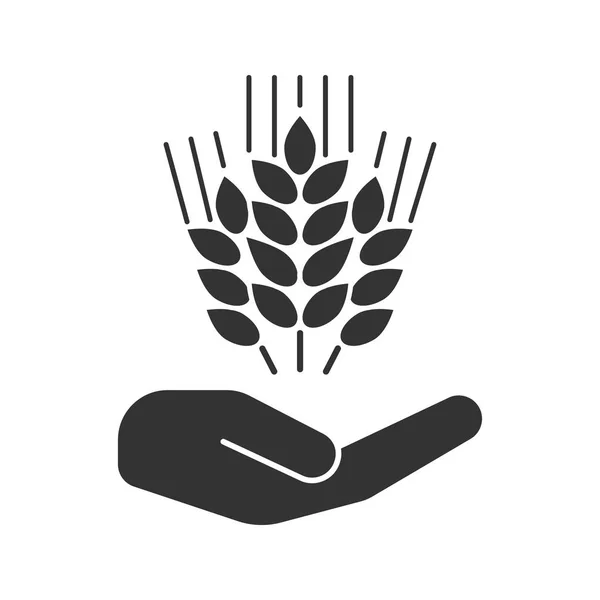 Otevřenou Ruku Ikonou Glyf Uši Pšenice Silueta Symbol Pěstování Pšenice — Stockový vektor