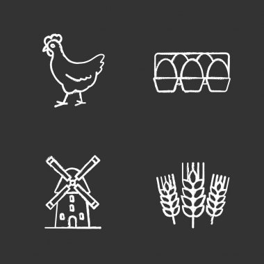 Tarım tebeşir Icons set. Tarım. Tavuk, yumurta kanalı, yel değirmeni, buğday kulaklar. İzole vektör kara tahta çizim