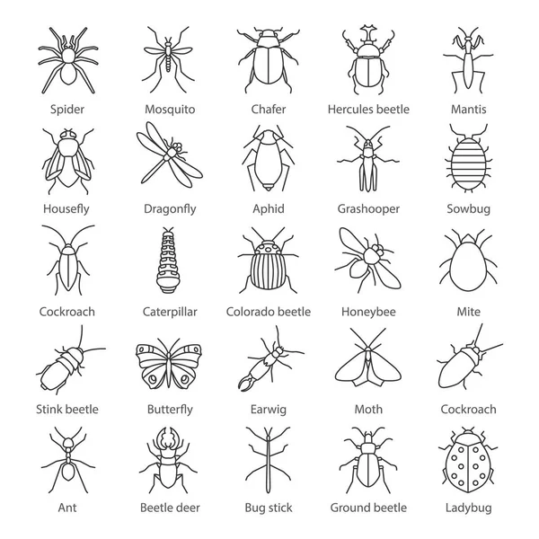 Zestaw Ikon Liniowe Owady Błędów Kolekcja Entomolog Cienka Linia Symbole — Wektor stockowy