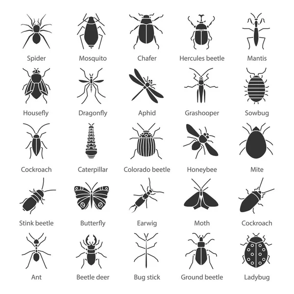 昆虫グリフ アイコンを設定します シルエットのシンボル 昆虫のコレクションです ハサミムシ クワガタ Phasmid カマキリ 分離したベクトル図 — ストックベクタ