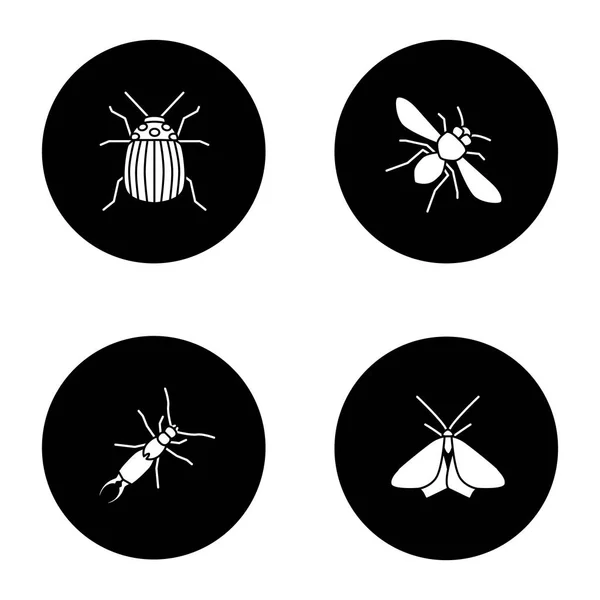 Insekten Glyphen Symbole Gesetzt Kolorado Käfer Honigbiene Ohrwürmer Motte Vektor — Stockvektor