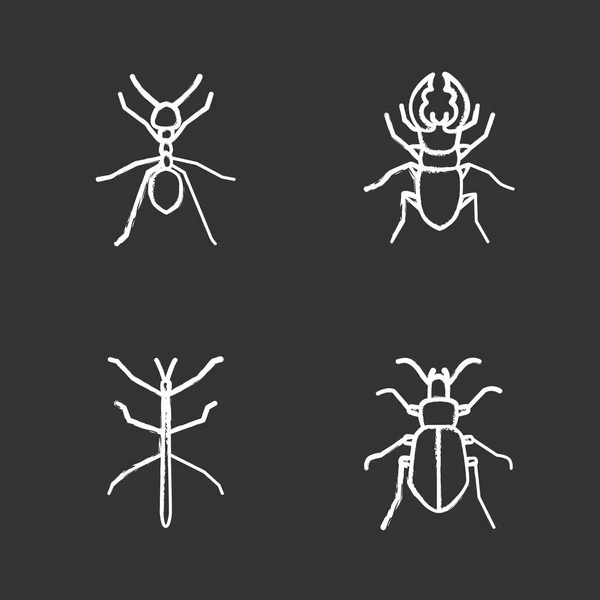 Insecten Krijt Iconen Set Ant Stag Kever Grond Bug Phasmid — Stockvector