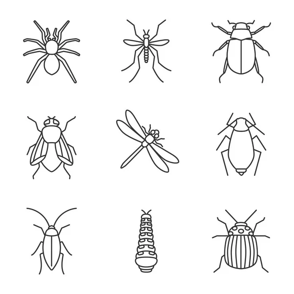 Junebugストックベクター ロイヤリティフリーjunebugイラスト Depositphotos
