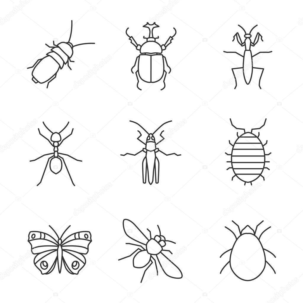 linear icons set. Darkling beetle, hercules bug, mantis, ant, grasshopper, woodlouse, butterfly, honey bee, mite. Thin line contour symbols. Isolated vector outline illustrations
