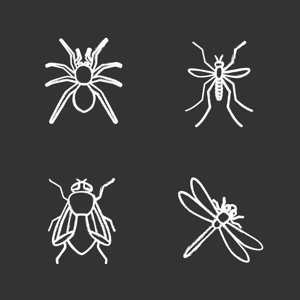 Ensemble d'icônes de craie d'insectes — Image vectorielle