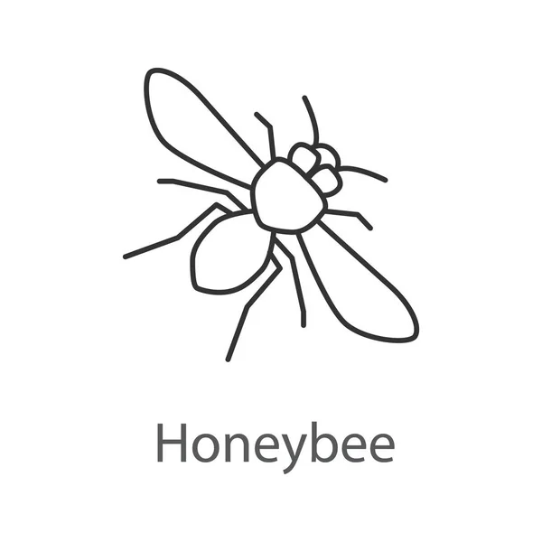 Honey bee lineární ikona — Stockový vektor