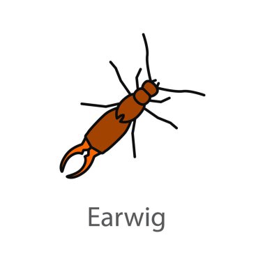 Earwig color icon clipart