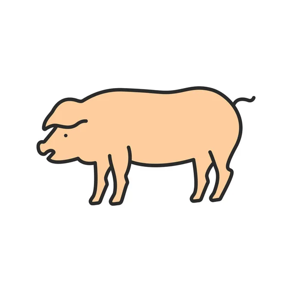 돼지 색 아이콘 — 스톡 벡터