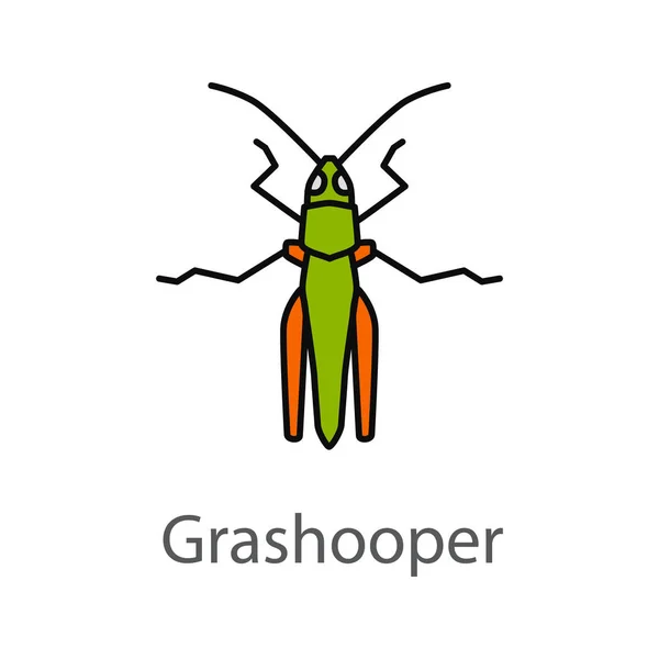 Icona a colori Grasshopper — Vettoriale Stock